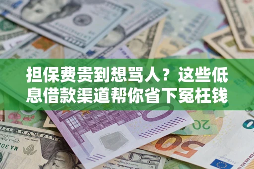 济南担保费贵到想骂人？这些低息借款渠道帮你省下冤枉钱
