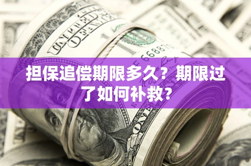济南担保追偿期限多久？期限过了如何补救？