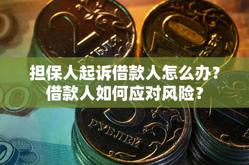 济南担保人起诉借款人怎么办？借款人如何应对风险？