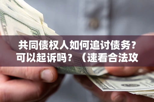 济南共同债权人如何追讨债务？可以起诉吗？（速看合法攻略）